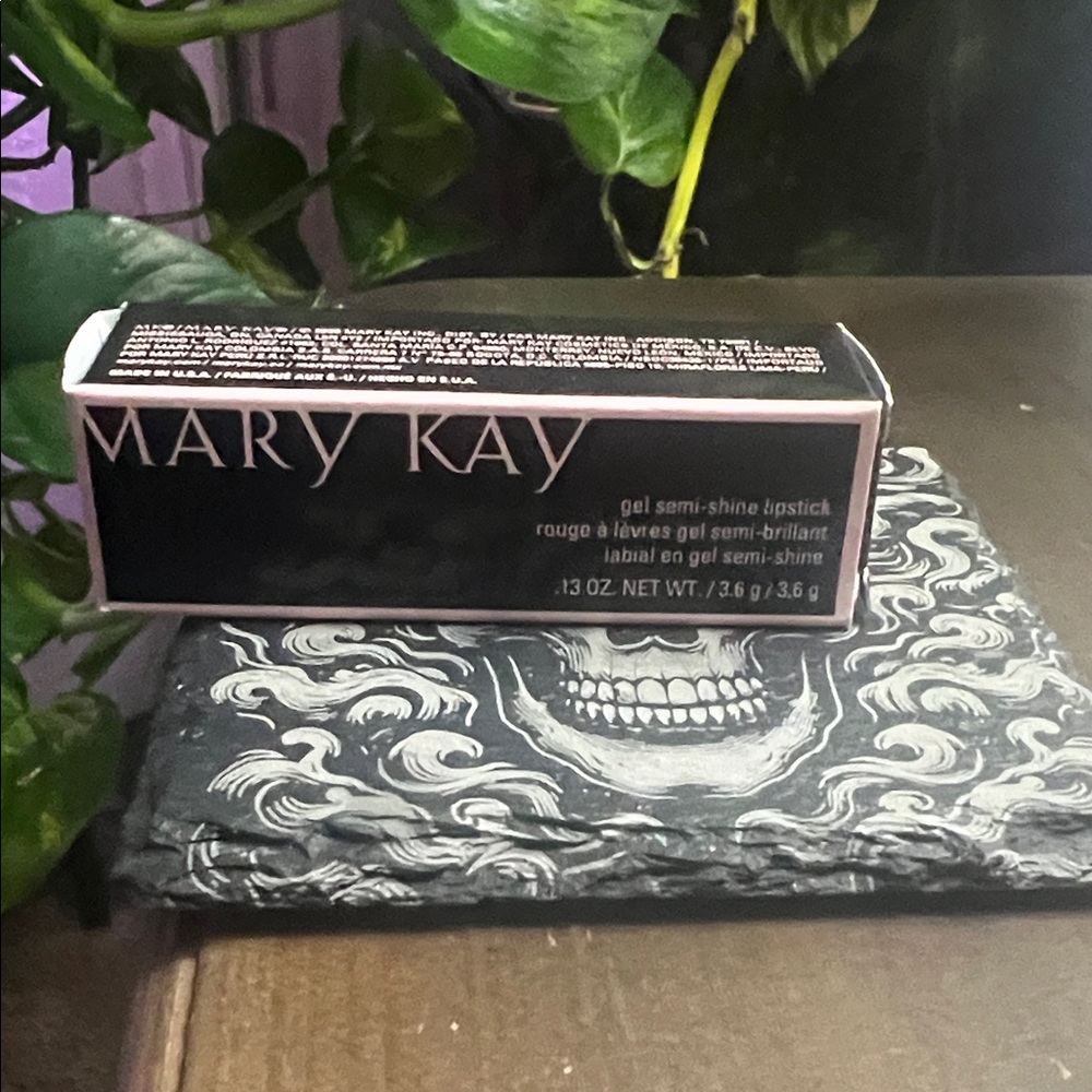 Mary Kay Semi-Shine Lipstick in Black Packaging